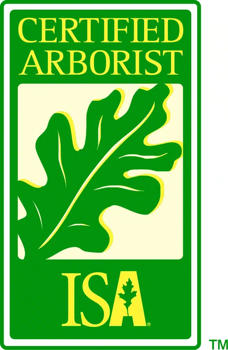 ISA Certified Arborist badge