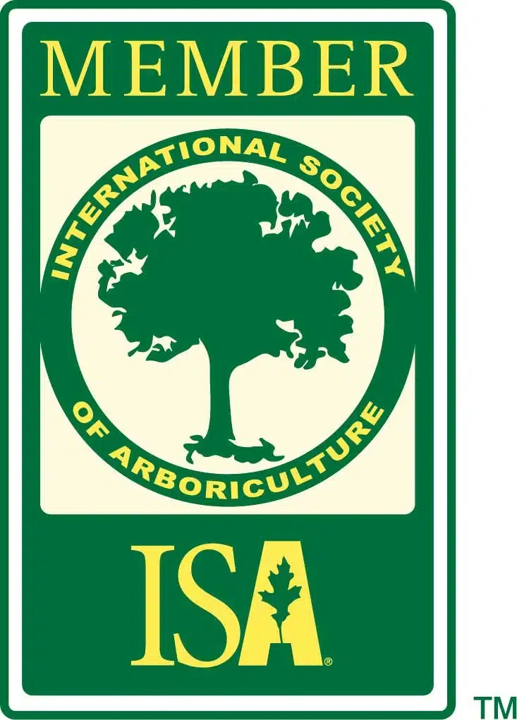 ISA member badge