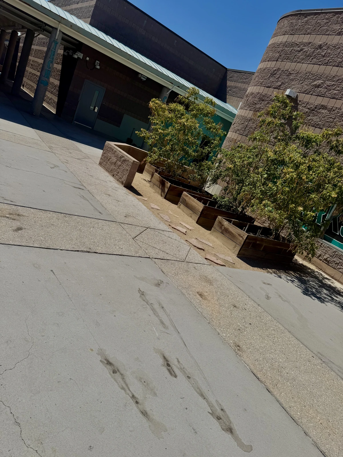 Planter beds and groundcover along a commercial property walkway