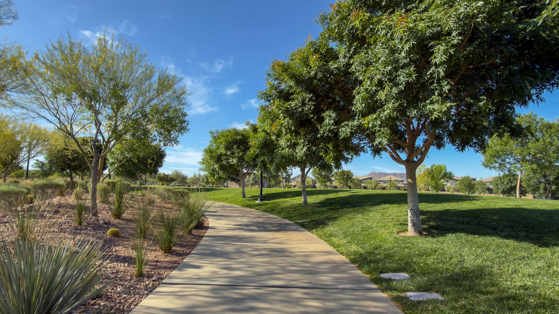Tree-lined pathway through a master-planned community park